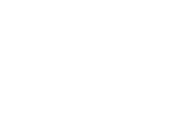 Investor 1